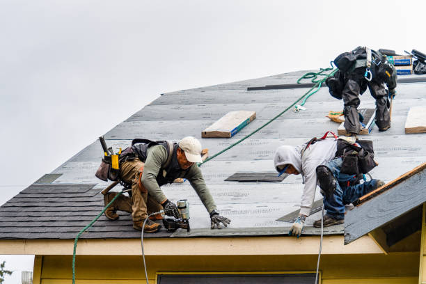 Professional Gutter Installation technician working in Dallas, WV